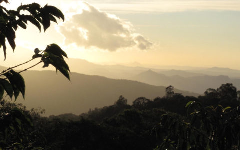 view+from+Keith+Pech+Darmeli+Estate+coffee+in+Boquete+district+of+Panama