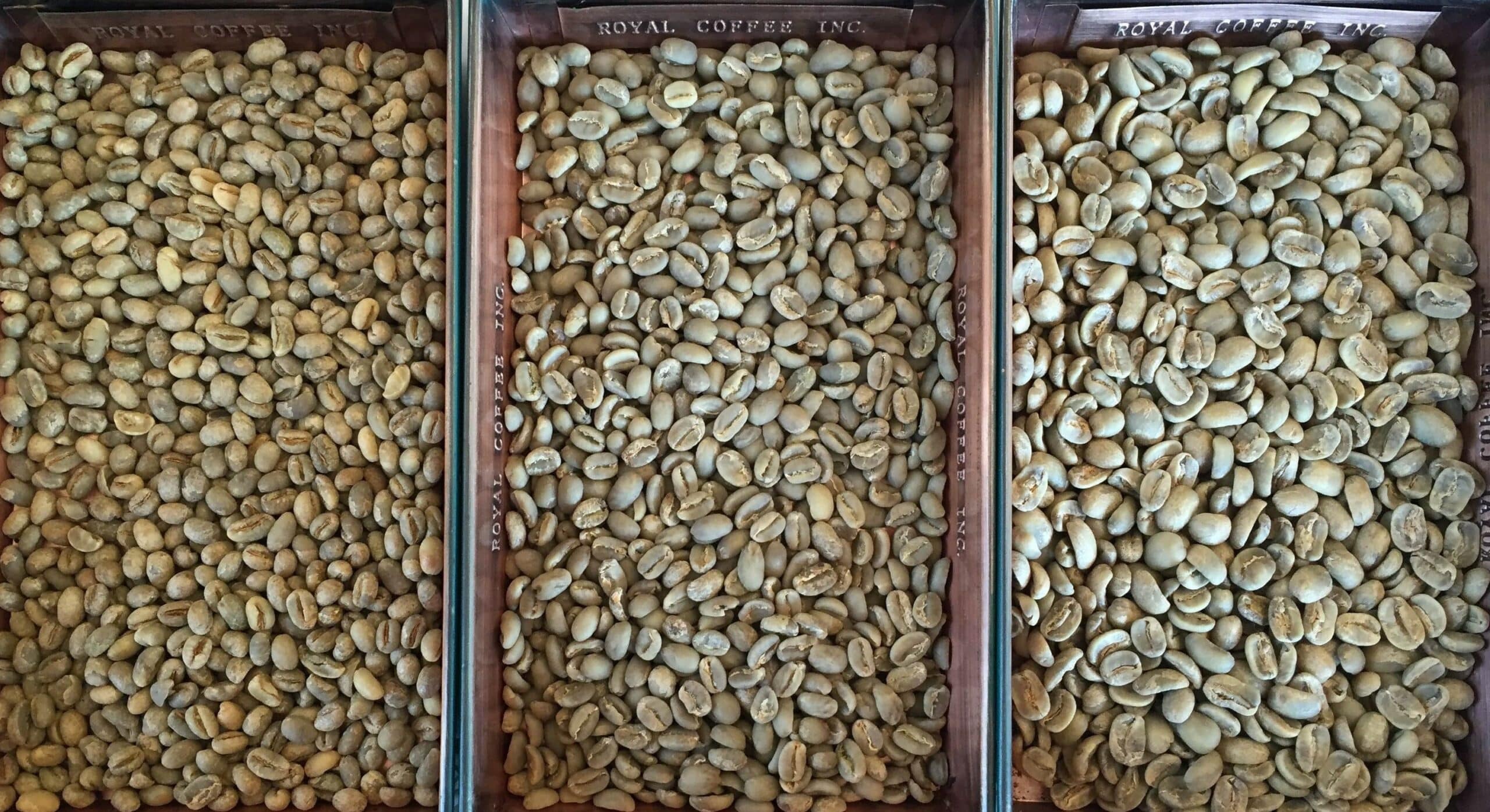 different coffee density and bean sizes